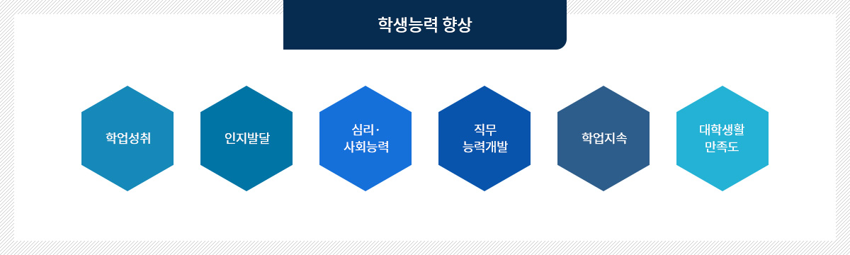 학생능력향상: 학업성취, 인지발달, 심리?사회능력, 직무능력개발, 학업 지속, 대학생활 만족도